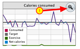 Chart zoom button